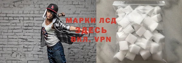 прущие грибы Гусь-Хрустальный