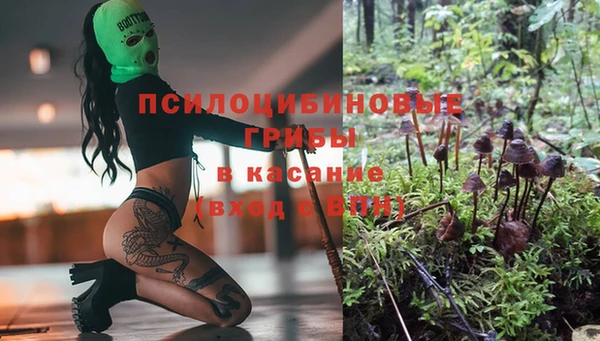 прущие грибы Гусь-Хрустальный
