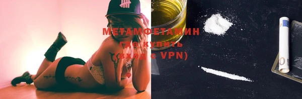 прущие грибы Гусь-Хрустальный