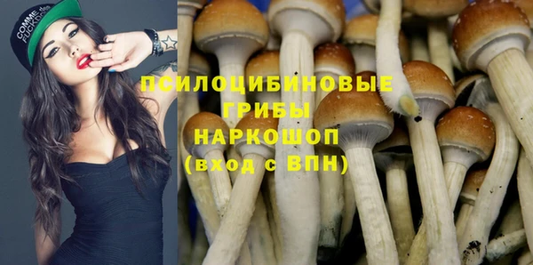 ПСИЛОЦИБИНОВЫЕ ГРИБЫ Гусиноозёрск