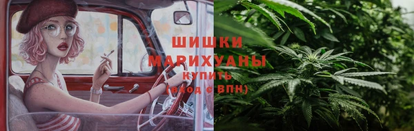 ПСИЛОЦИБИНОВЫЕ ГРИБЫ Гусиноозёрск