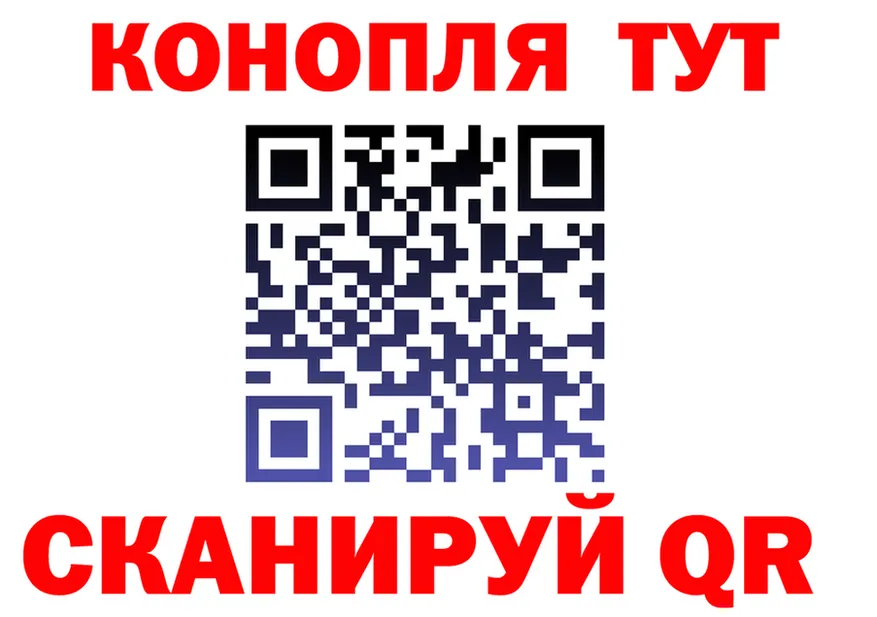 МЯУ-МЯУ мука зеркало площадка МЕГА Кадников