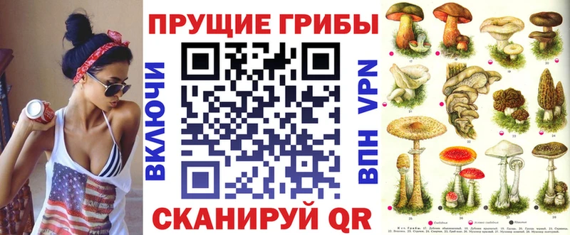 Псилоцибиновые грибы Psilocybe  Купить где  Кадников 
